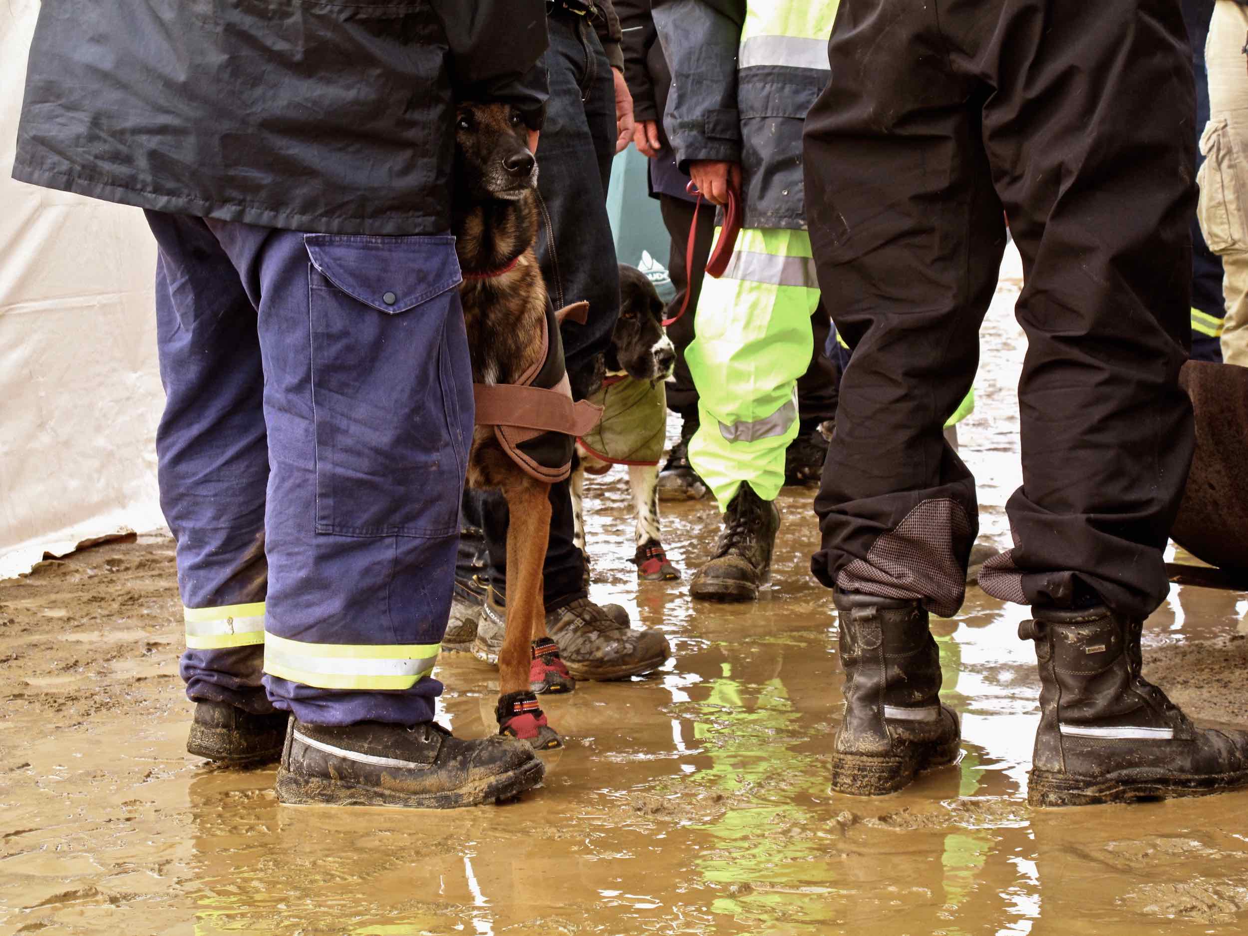  3/15 members of Queensland Search and Rescue Task Force outside Tome City Hall 